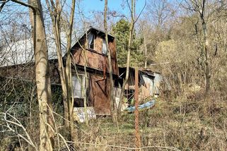 Pitbulí „farma“ u bytovek skončí. Sousedé roky upozorňovali na problémy - Seznam Zprávy